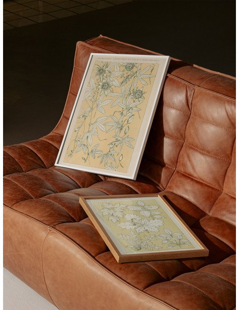 Leaves from nature - No. 10