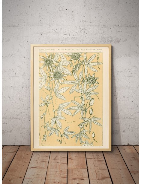 Blad från naturen - No. 10 Poster