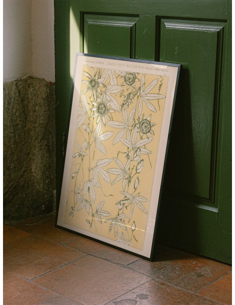 Blad från naturen - No. 10 Poster