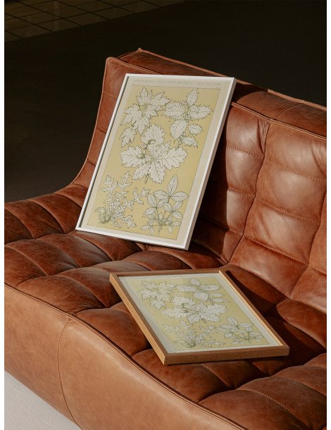 Leaves from nature - No. 5