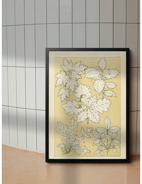 Blad från naturen - No. 5 Poster