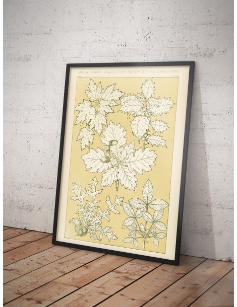 Leaves from nature - No. 5