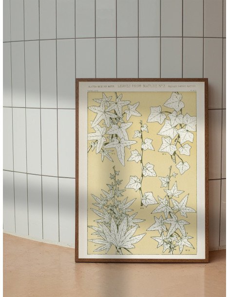 Blad från naturen - No. 3 Poster