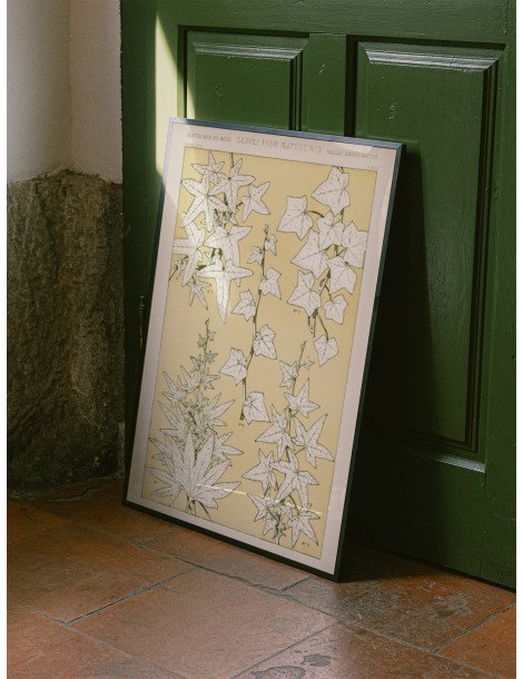 Leaves from nature - No. 3