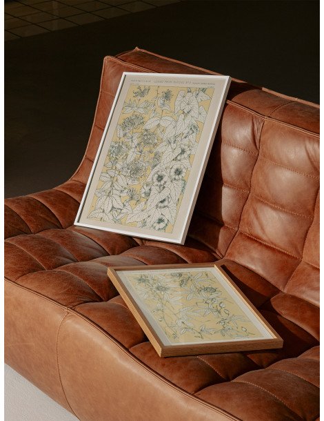 Leaves from nature - No. 9