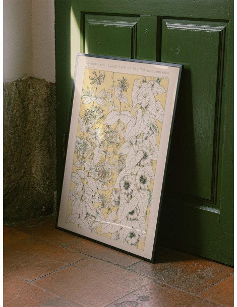 Blad från naturen - No. 9 Poster