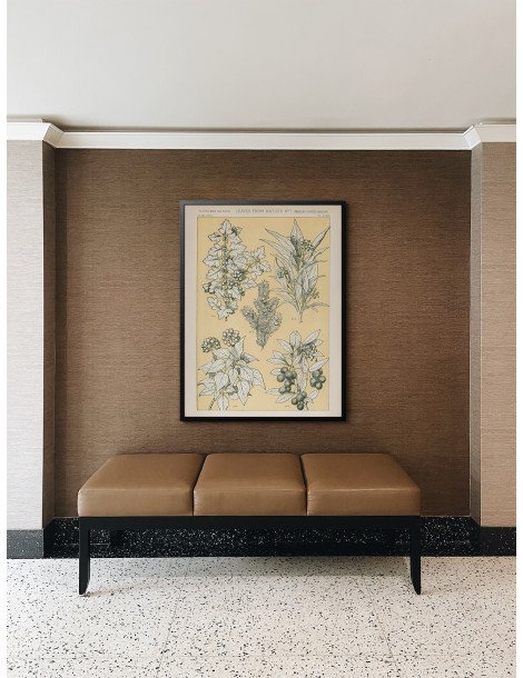 Leaves from nature - No. 7