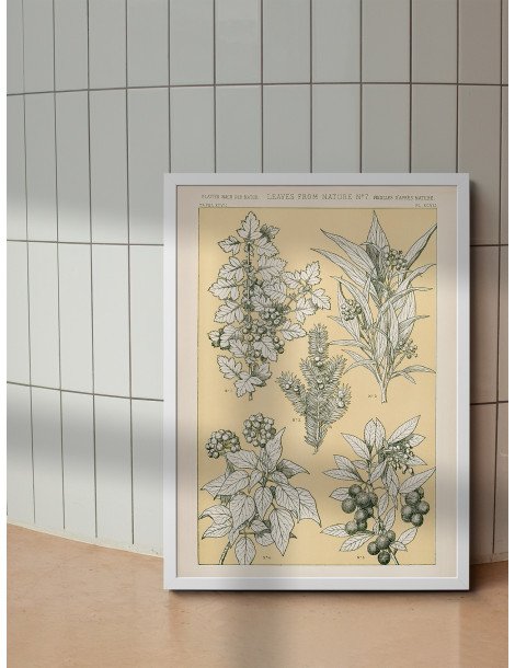 Blad från naturen - No. 7 Poster