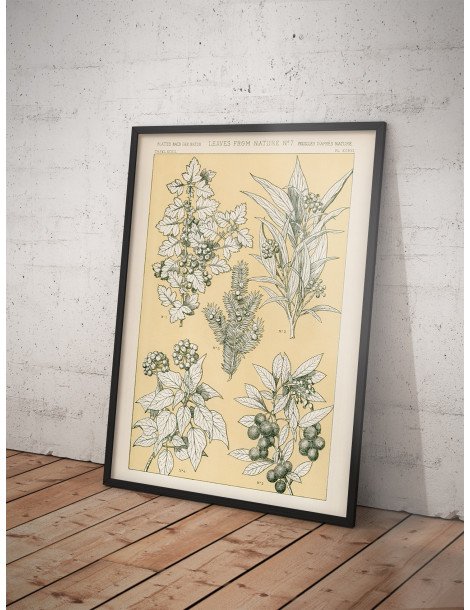 Blad från naturen - No. 7 Poster