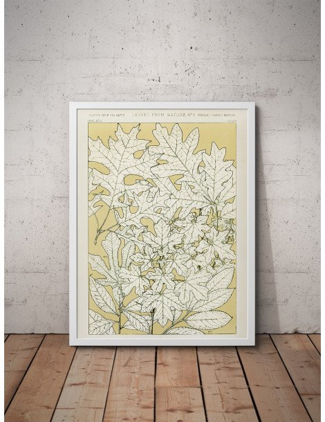 Leaves from nature - No. 4