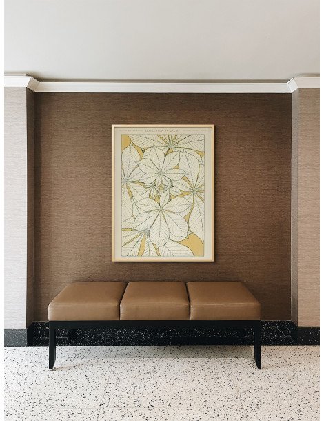 Leaves from nature - No. 1