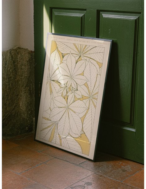 Blad från naturen - No. 1 Poster