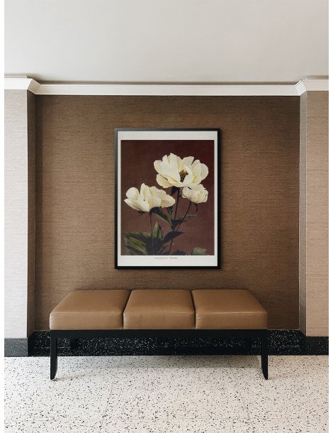 Hærdaceous Peony - Ogawa Kazumasa