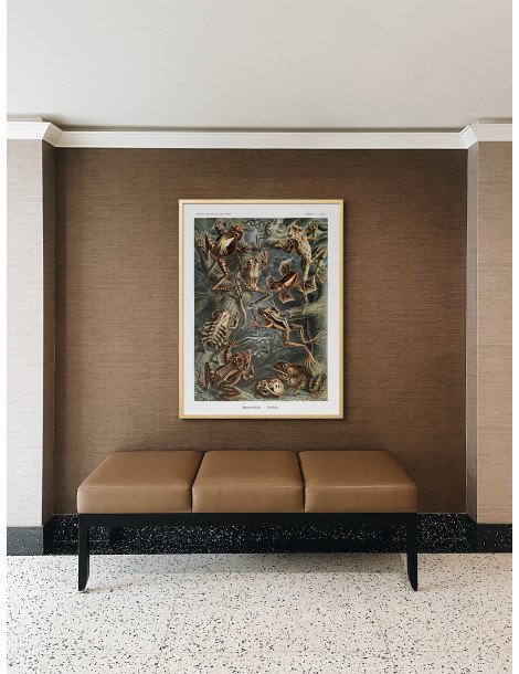 Ernst Haeckel - Artforms in nature - No. 68 Poster