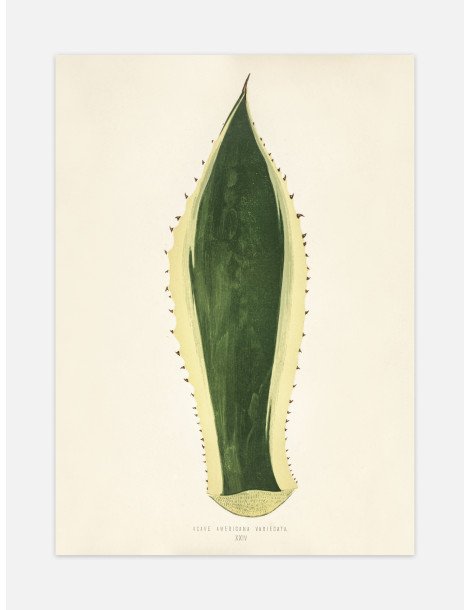 Sentry Plant Poster