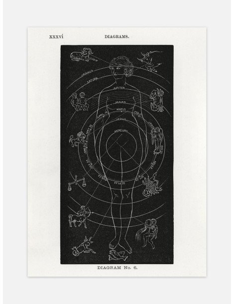 Astrology woman Poster