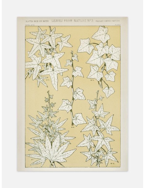 Blad från naturen - No. 3 Poster