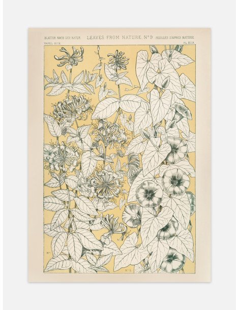 Blad från naturen - No. 9 Poster