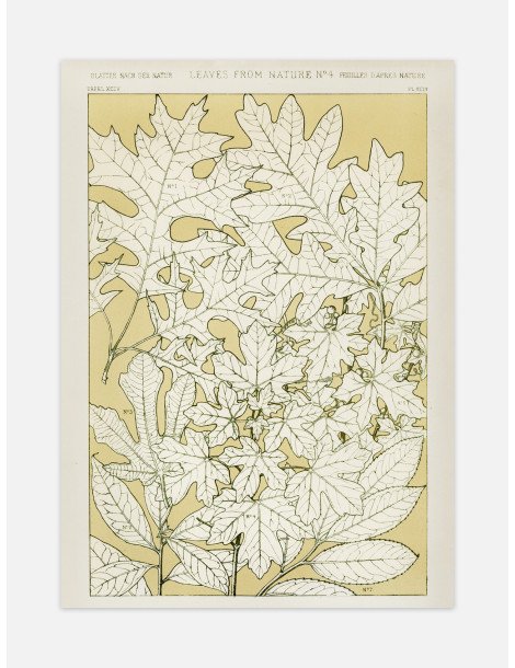 Blad från naturen - No. 4 Poster