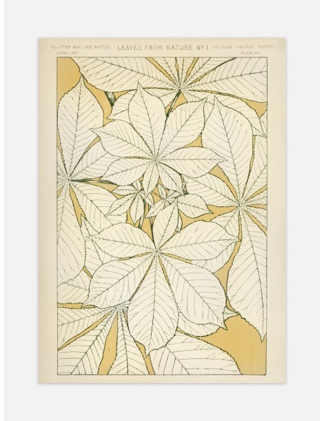 Leaves from nature - No. 1