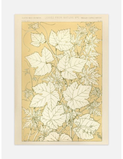 Leaves from nature - No. 2