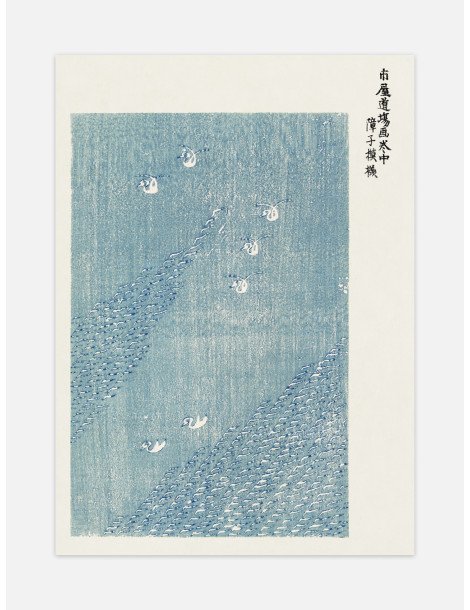 Japanese vintage original birds woodblock print (Yatsuo no tsubaki) - Taguchi Tomoki