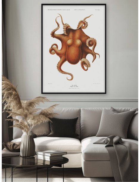 Octopus Poster