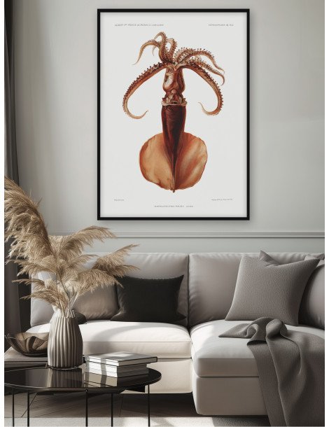 Squid Poster