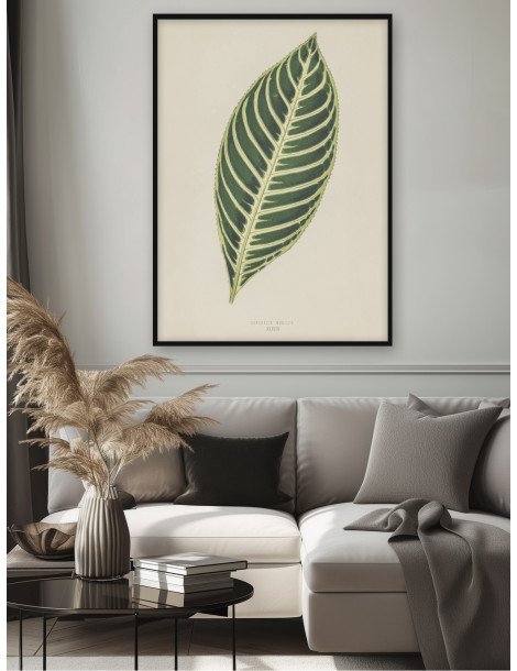 Tiger plant