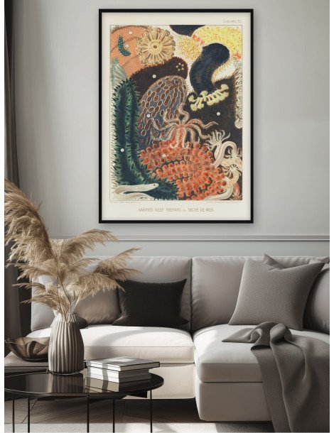 The great barrier reef of Australia -  Bêche-de-Mer Poster