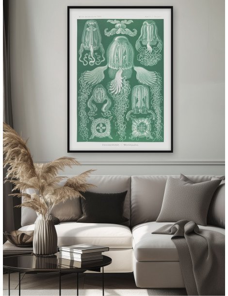 Ernst Haeckel - Artforms in nature - No. 78 Poster