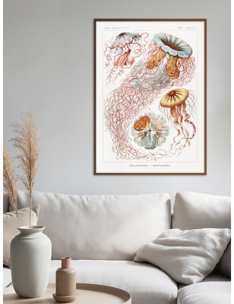 Ernst Haeckel - Artforms in nature - No. 8 Poster