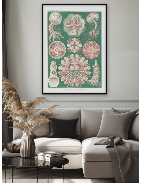Ernst Haeckel - Artforms in nature - No. 98