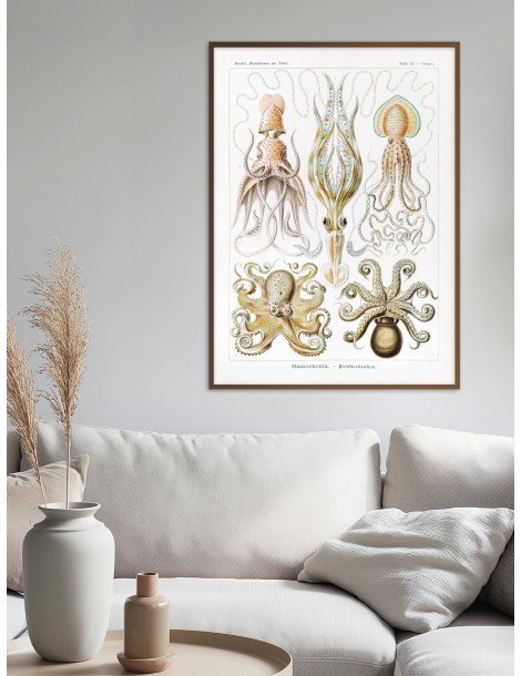 Ernst Haeckel - Artforms in nature - No. 54
