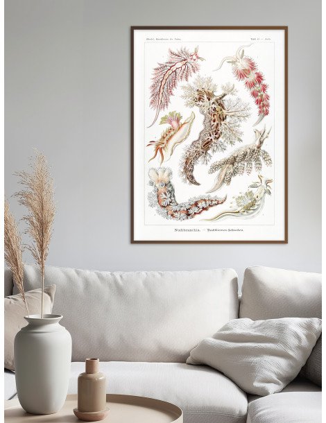 Ernst Haeckel - Artforms in nature - No. 43 Poster
