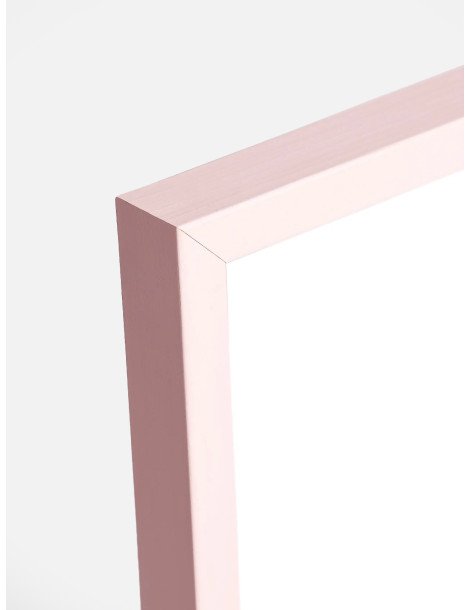 Pastel pink ram