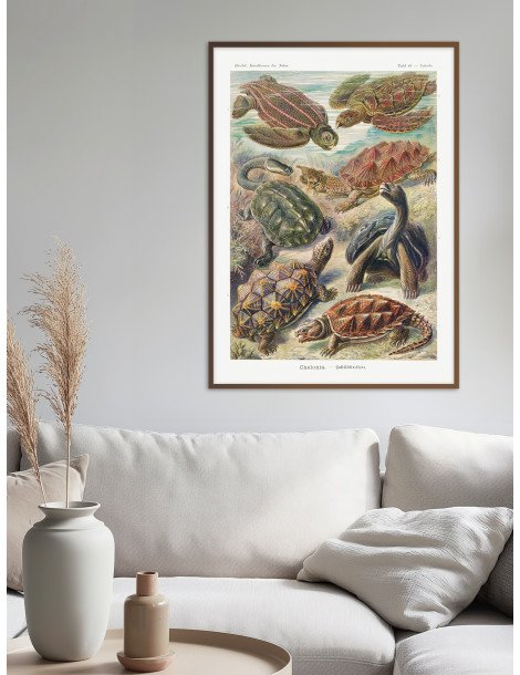 Ernst Haeckel - Artforms in nature - No. 89 Poster