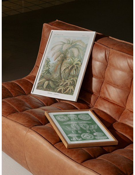 Ernst Haeckel - Artforms in nature - No. 92 Poster