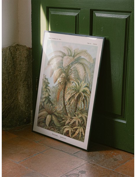 Ernst Haeckel - Artforms in nature - No. 92 Poster