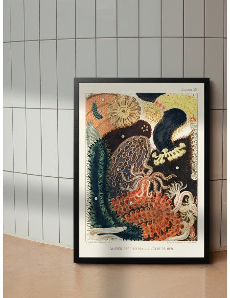 The great barrier reef of Australia -  Bêche-de-Mer Poster