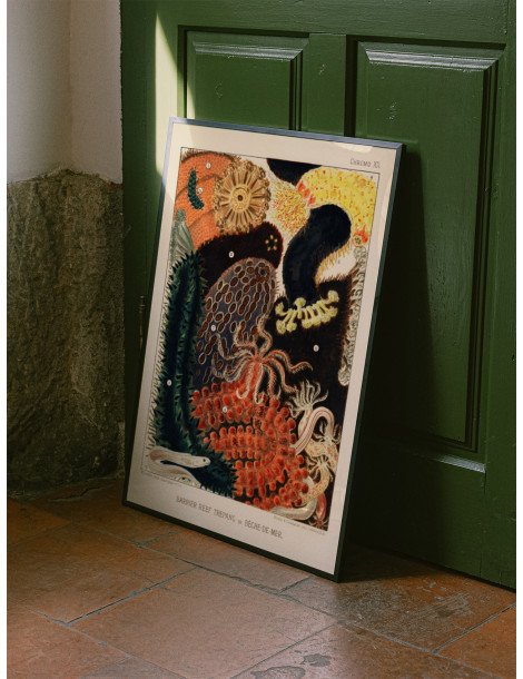 The great barrier reef of Australia -  Bêche-de-Mer Poster