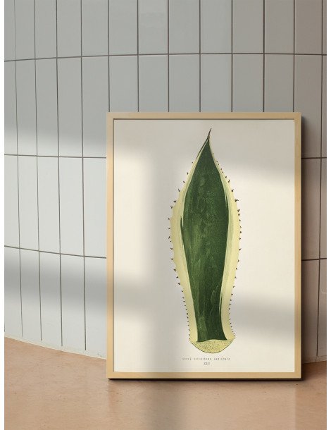 Sentry Plant Poster