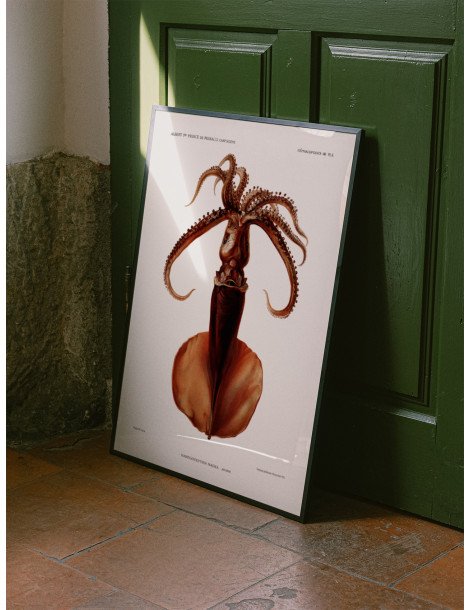 Squid Poster