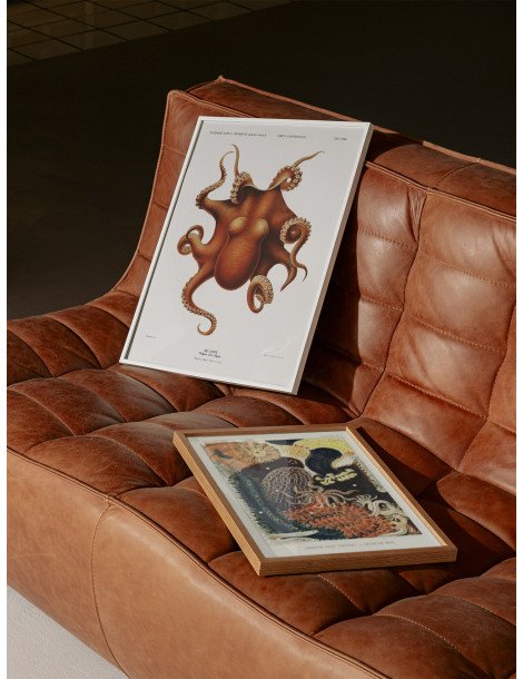 Octopus Poster